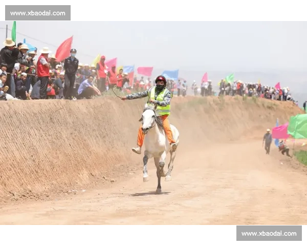 全球最快赛马挑战赛精彩瞬间 速度与激情的极限较量