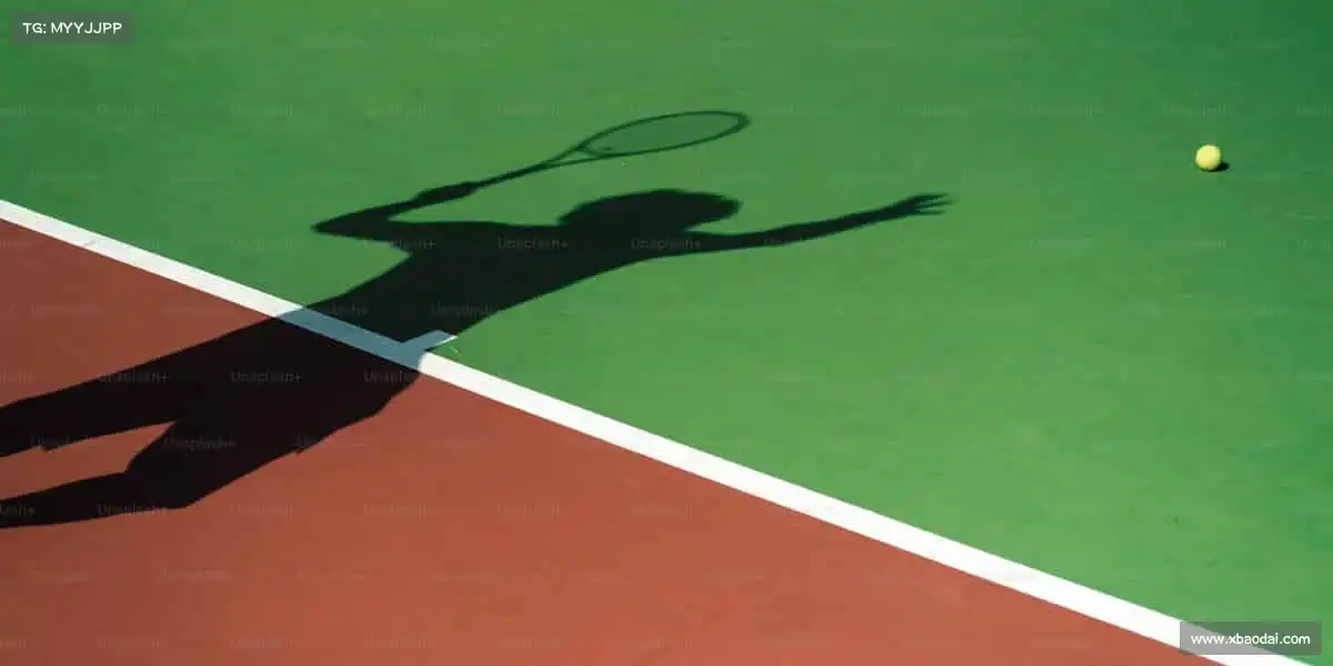 为什么选择我们